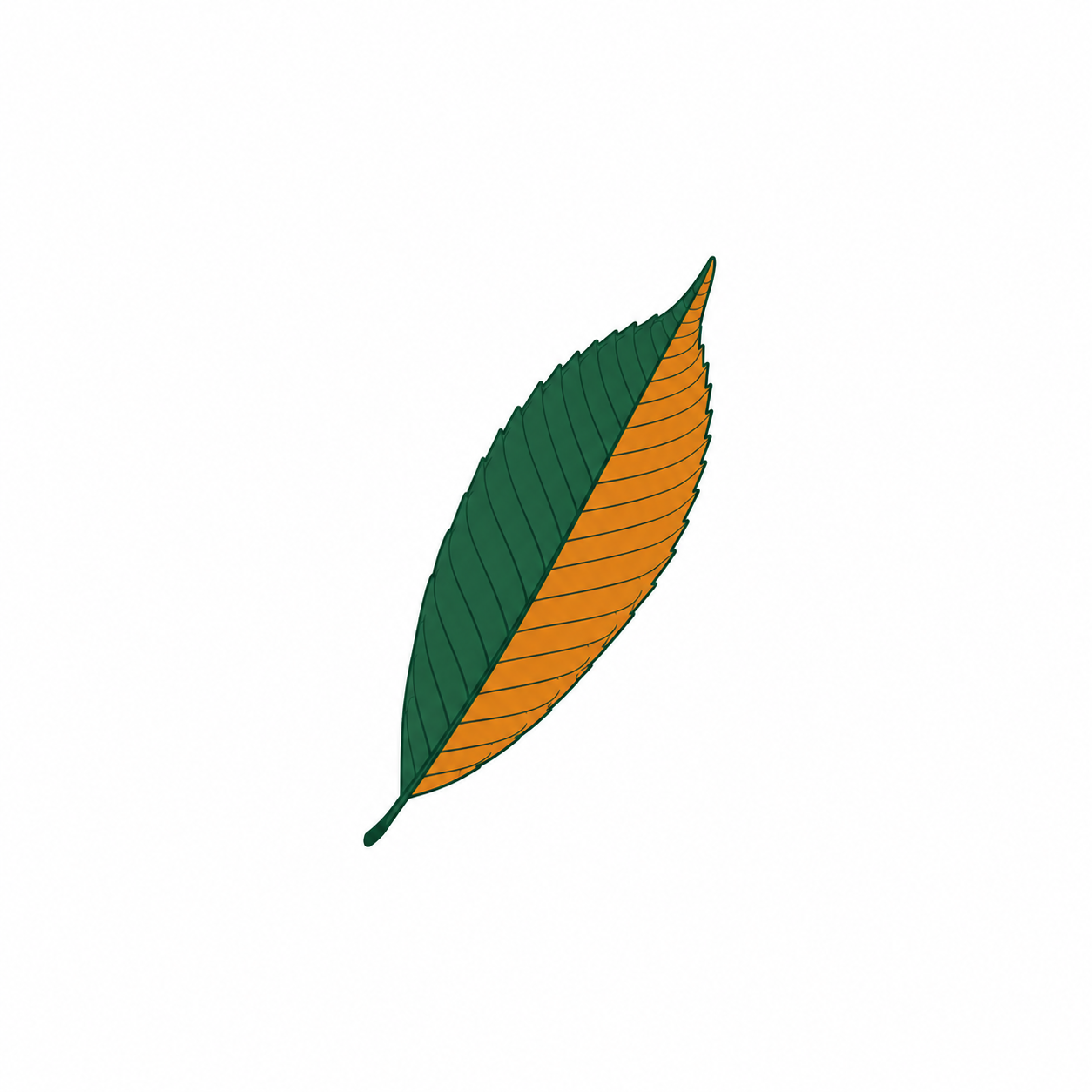 KiYoのプロフィールアイコン